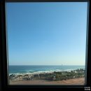 동해바다 | 동해휴게소 실사용 후기｜바다 보이는 자리·포토존·먹거리 총정리