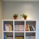 오남 양오초 이미지