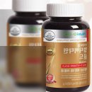 뉴트리디데이 프리미엄 멀티비타민 골드: 건강의 골드 스탠다드를 경험하다!