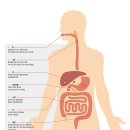 더나은한의원 이미지