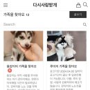 다시사랑받개 이미지