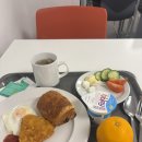 엠제이오퍼 | 2025 겨울 여행 런던 2