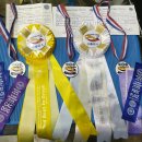 워킹포드림 이미지