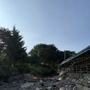 장흥계곡집 | 장흥계곡집 백숙맛집 후기 아이들과 수영장까지 즐긴 하루