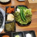 제주백정의필살기 이미지