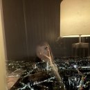 소3-123 | 123라운지 서울데이트 코스요리 솔직후기