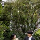 대구 워킹 웨딩스튜디오 라피네하우스 수정본 후기