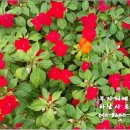 하남시종합사회복지관(별관) 이미지