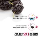 열매농수산
