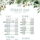 포레스트데이