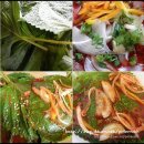 자연이 주는밥상 이미지