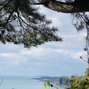 20241208 중문 바다풍경~신창풍차해안 이미지