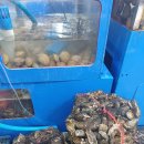 22번수산 이미지