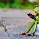 광지의원 이미지