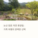 논산 가족 여행지 추천! 양촌 자연 휴양림에서 보내는 주말