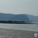 신두리해수욕장 이미지