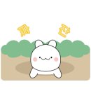 80썬팅이야기