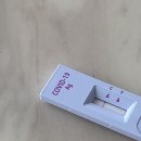 해운대제니스내과의원 네이버블로그