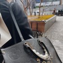 금조의 금쪽같은 하루♥ 오오티디, 벨루나요정(벨루나최저가), 블로거
