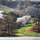 예촌한우목장 | 바다와 산이 만나 그림이 되는 곳