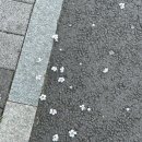 이모옷집 | 08. 정신없고 배부른 행복 ୨୧