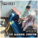 냥이친구 | 천안 고양이카페 냥이마루 5세 아이와 다녀온 실내 나들이 후기