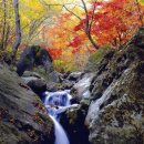 동촌마을2 주민발전소 이미지