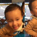 호야샤브 이미지