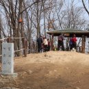 상번천 이미지