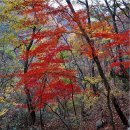 제64차정기산행장성백암산단풍산행 이미지