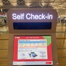 305010 | [호주] 시드니 티웨이 직항 TW501 온라인체크인, 셀프백드롭, 레그룸, 기내식, 추천좌석 등