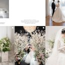 제일성결교회 | [lome] 본식 스냅 촬영 계약 후기_짝꿍코드 공유