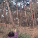 남한산초등학교 이미지