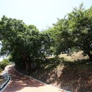 함계정사 이미지