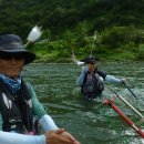 여울쏘가리 이미지