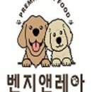레아샵 이미지