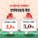 안양축산(안양축산농협) | 60대 부모님 비대면 예적금 특판 가입 전 꼭 할 일 (안양축산농협 5%적금 판매 개시 4분만에 완판)