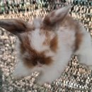 도장골농장2 이미지