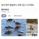 춥