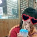 장유계곡참숯가마 이미지