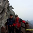 평호 Daum카페