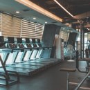 라이언짐 이미지