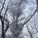 백두대간 능경봉(1123m)+고루포기산(1238m):평창/(2023.1.3일)신년 눈꽃산행 이미지
