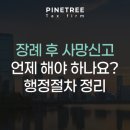 파인트리세무회계