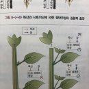 정단우성 설탕 가용성 질문 이미지