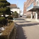 만성중학교 이미지