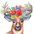 비비큐(BBQ)치킨송정점 이미지