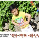 원숭이빤쮸