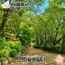 숲속쉼터옆 이미지