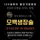 부산 전포동 모백생장술 대박 후기